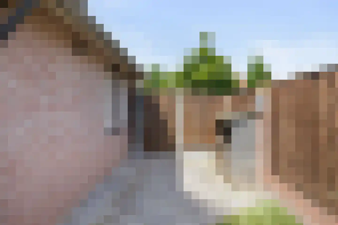 Chrysantenstraat 32 Veghel thumbnail 32