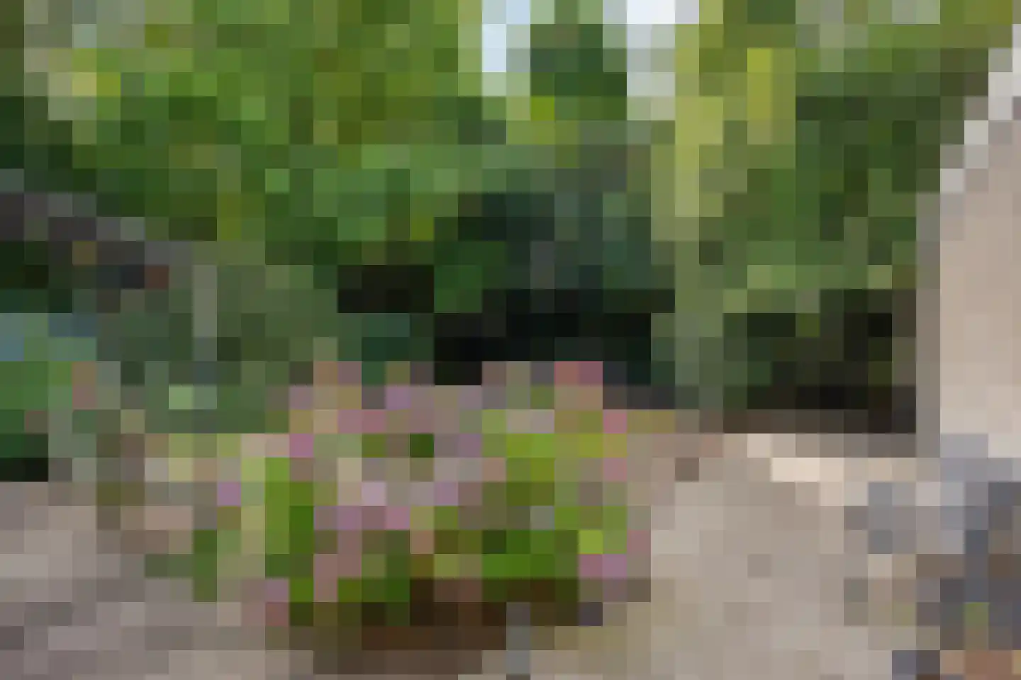 Chrysantenstraat 34 Drunen thumbnail 47