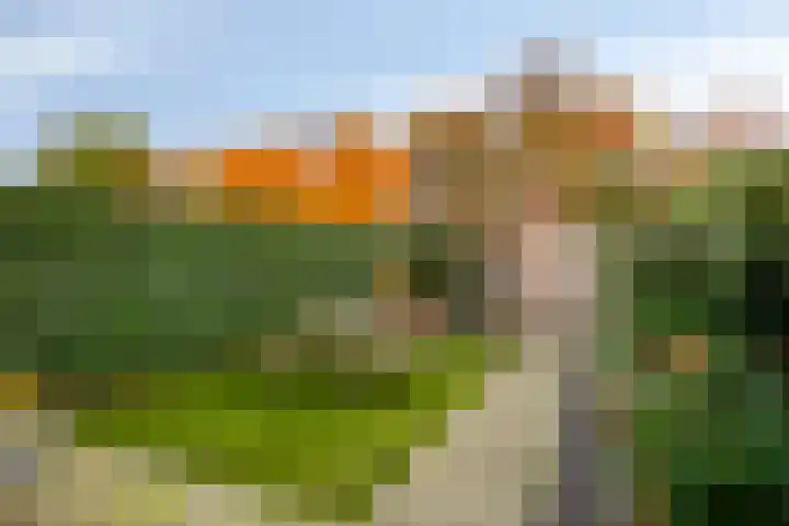 Chrysantenstraat 39 Eindhoven thumbnail 30