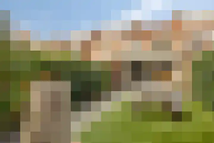 Chrysantenstraat 39 Eindhoven thumbnail 31