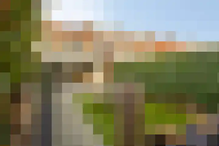 Chrysantenstraat 39 Eindhoven thumbnail 32
