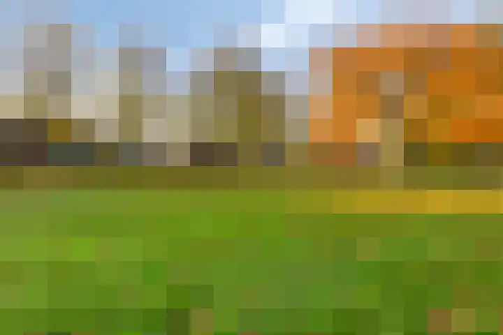 Chrysantenstraat 39 Eindhoven thumbnail 37