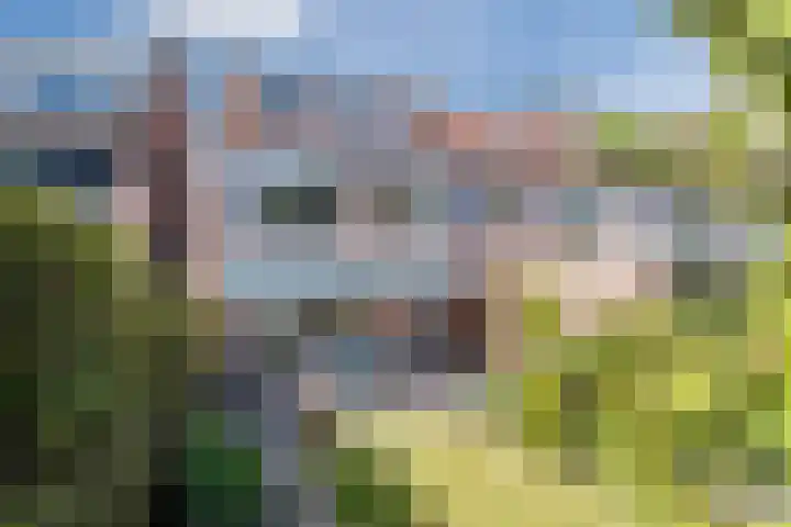 Chrysantenstraat 41 Eindhoven thumbnail 29