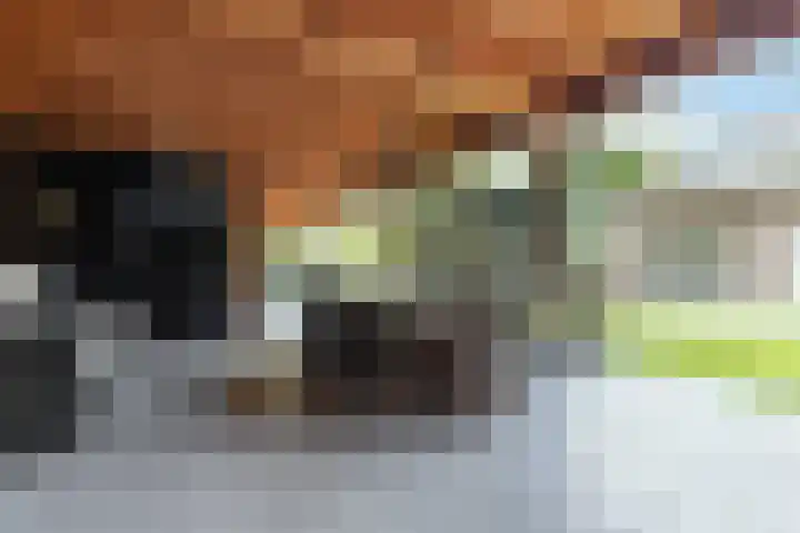 Chrysantenstraat 46 Drunen thumbnail 67