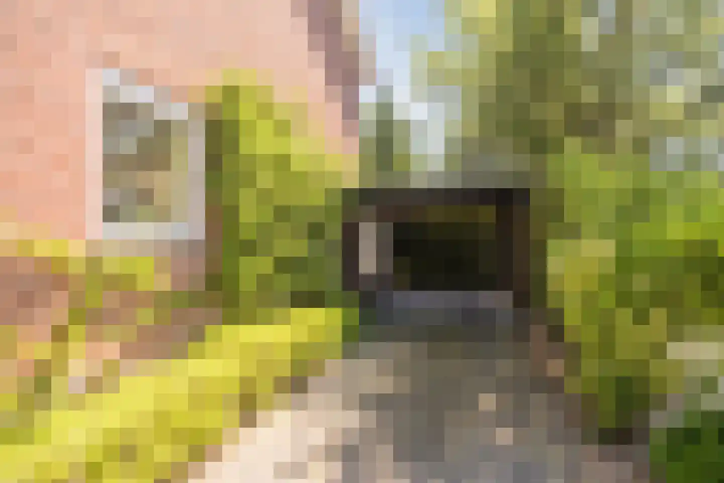 Chrysantenstraat 46 Veghel thumbnail 27