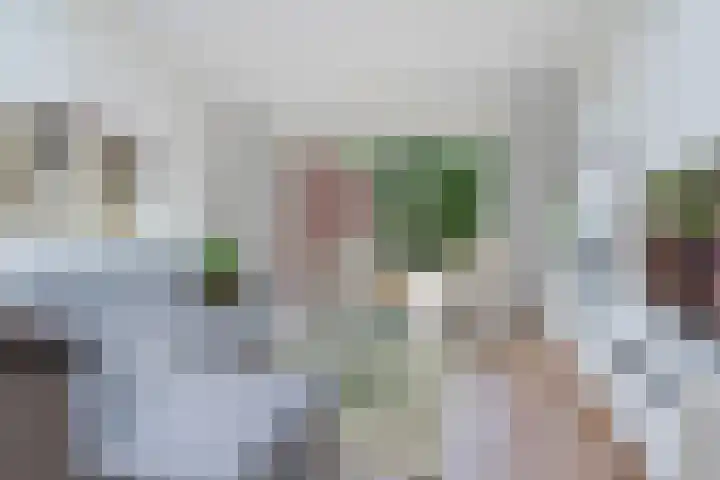 Chrysantentuin 92 Zoetermeer