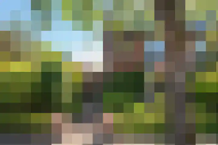 Chrysanthemumlaan 11 Heemstede thumbnail 5