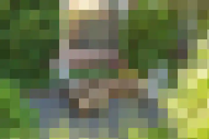 Chrysanthemumlaan 11 Heemstede thumbnail 6