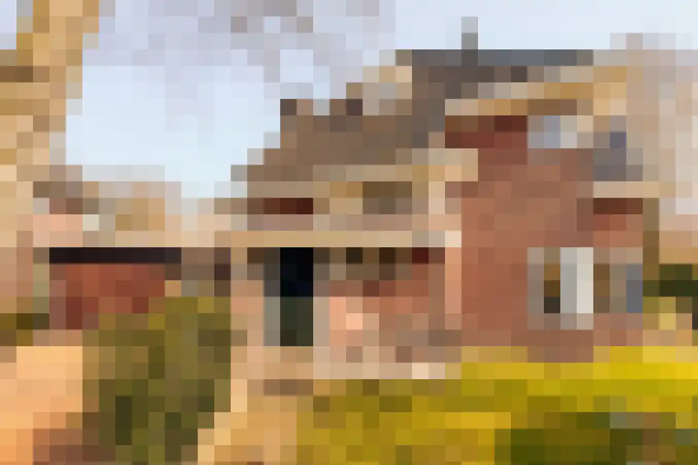 Chrysanthemumlaan 2 Heemstede thumbnail 6