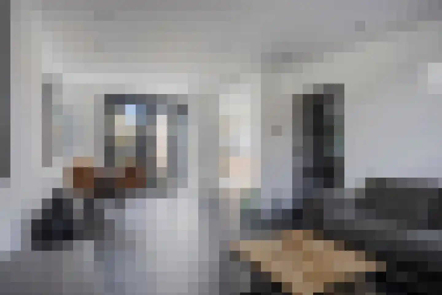 Chrysanthenstraat 12 Purmerend thumbnail 14