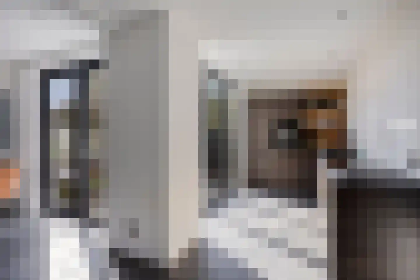 Chrysanthenstraat 12 Purmerend thumbnail 18