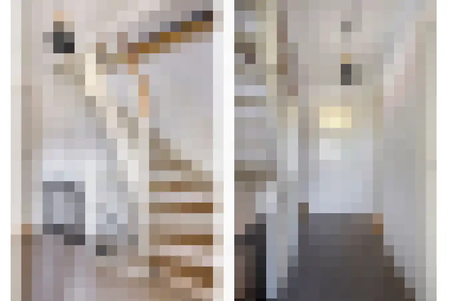 Chrysanthenstraat 12 Purmerend thumbnail 29