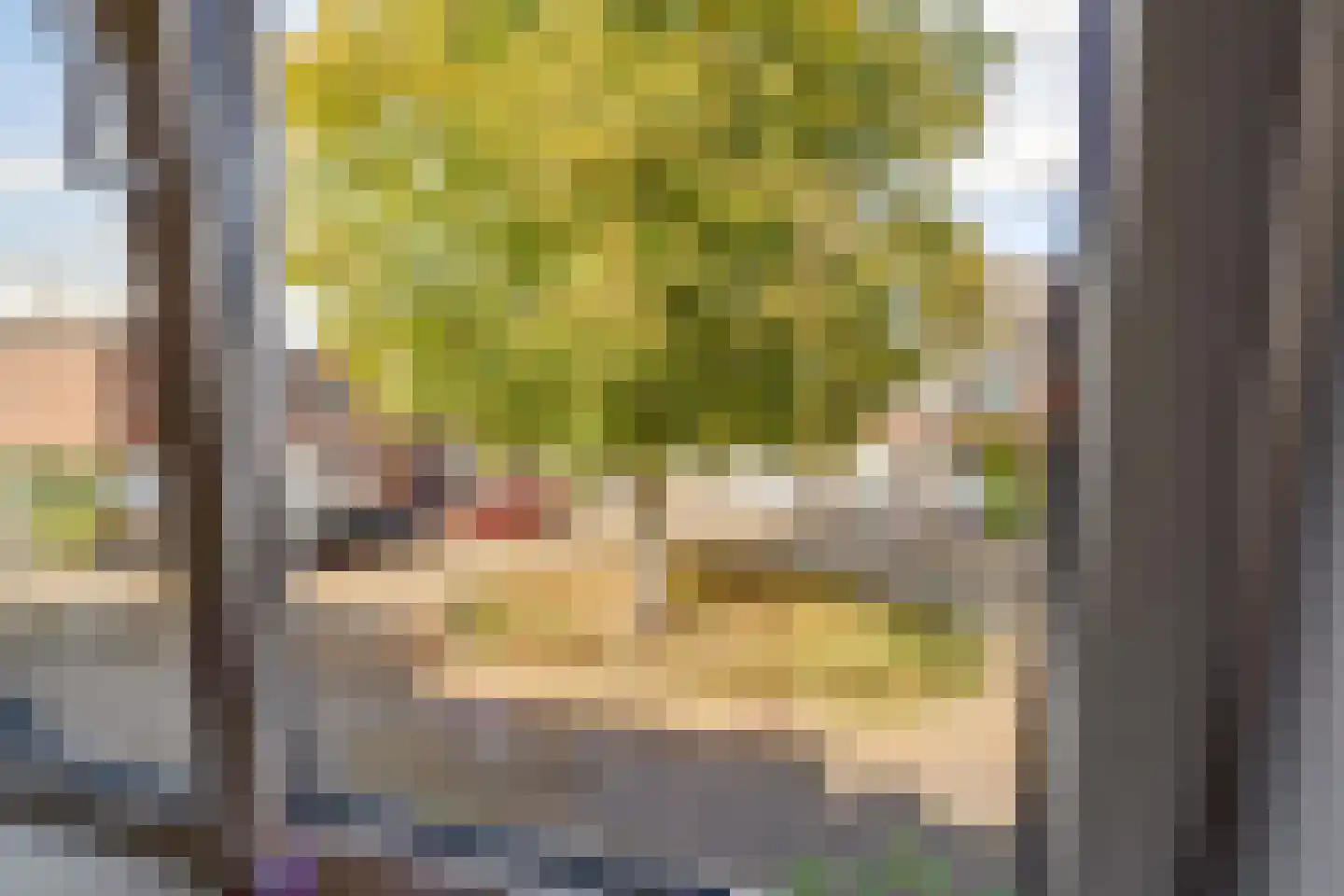 Chrysantstraat 20 Utrecht thumbnail 21