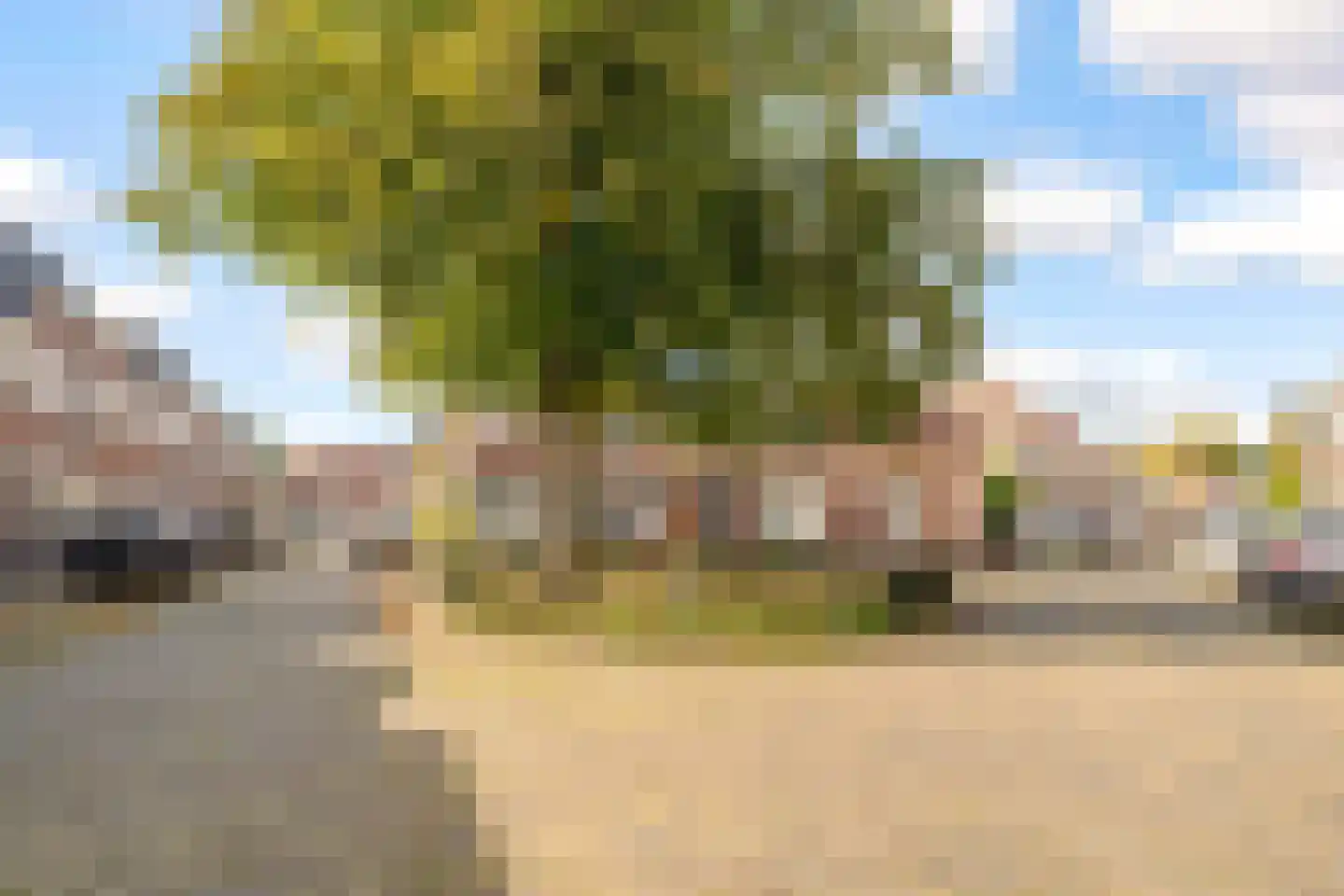 Chrysantstraat 20 Utrecht thumbnail 38