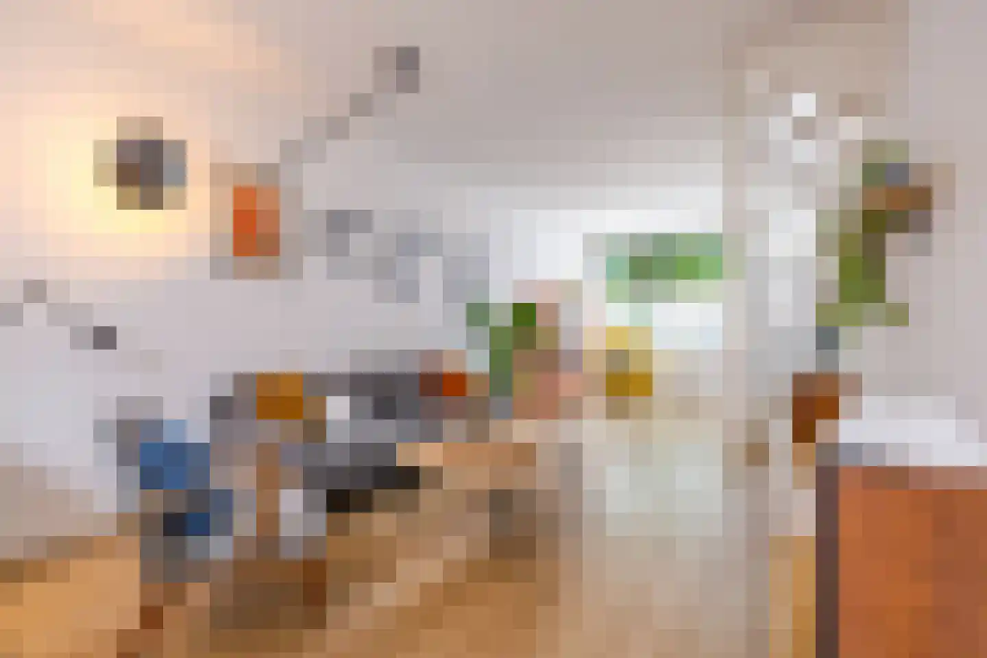Chrysantstraat 20 Utrecht thumbnail 8
