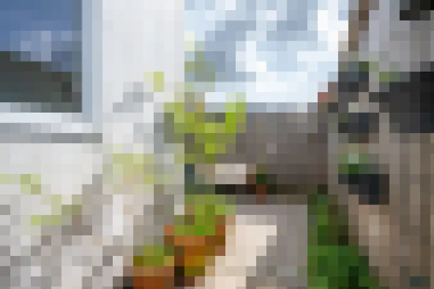 Chrysantstraat 40 Utrecht thumbnail 15