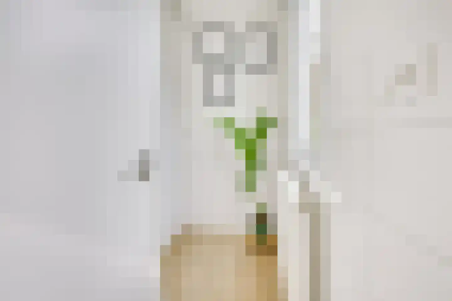 Chrysantstraat 40 Utrecht thumbnail 28