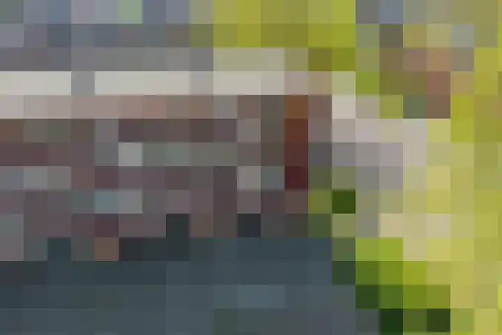 Chrysantstraat 70 Zwijndrecht thumbnail 6