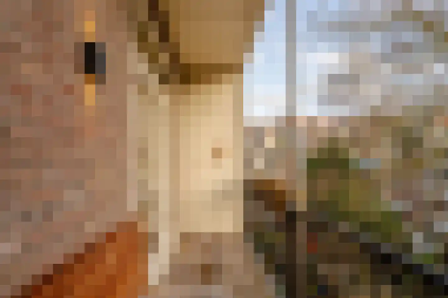 Churchill-laan 121 2 Amsterdam thumbnail 21
