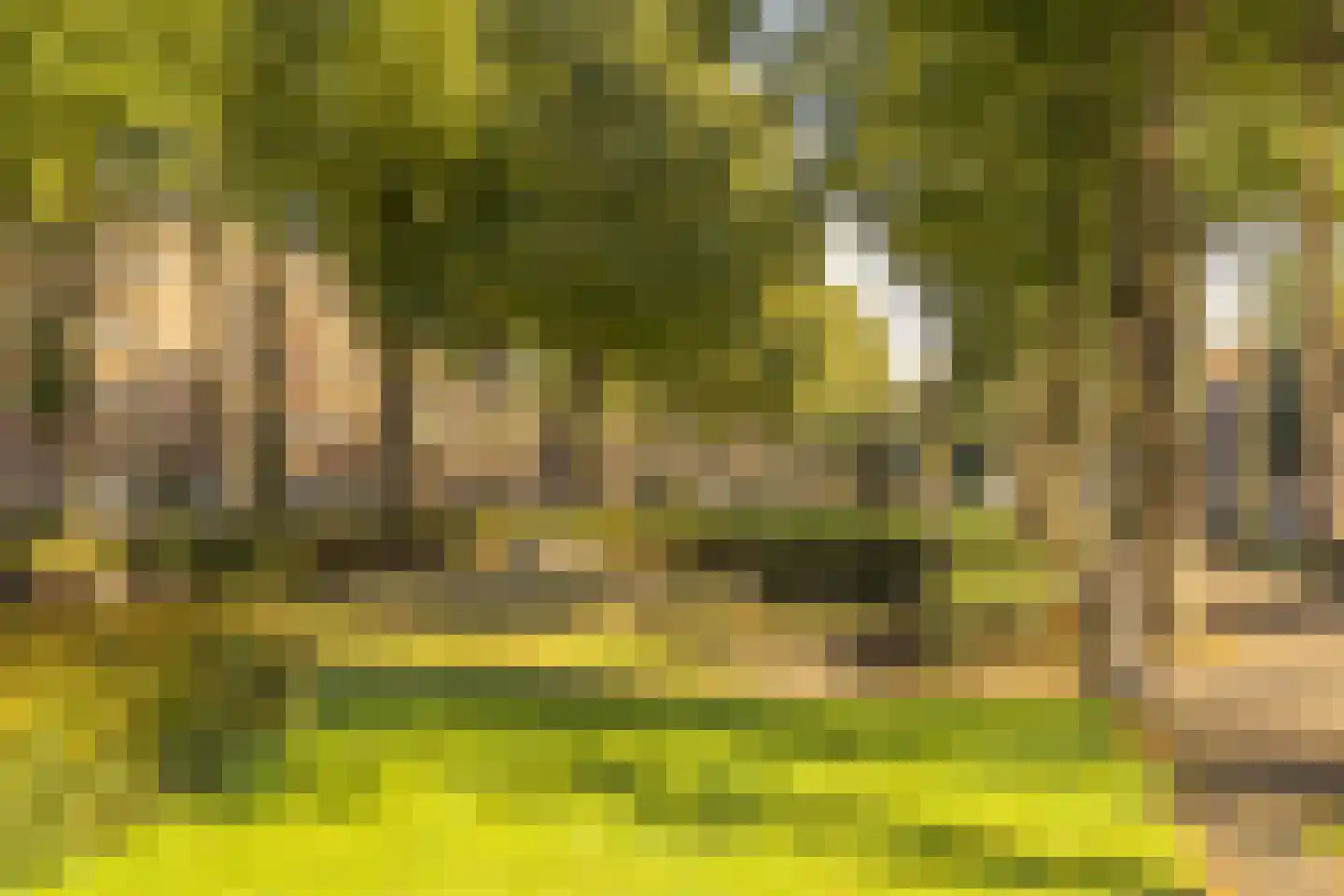 Churchill-laan 137 2 Amsterdam thumbnail 33
