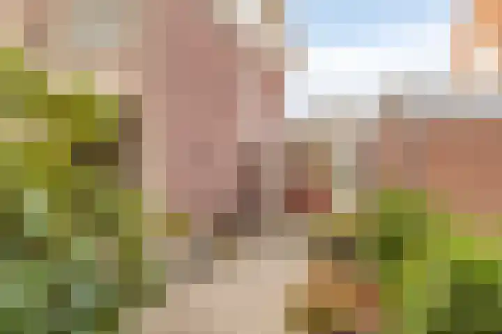 Churchill-laan 15 Bergeijk thumbnail 5