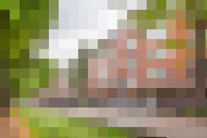 Churchill-laan 153 4 Amsterdam thumbnail 31