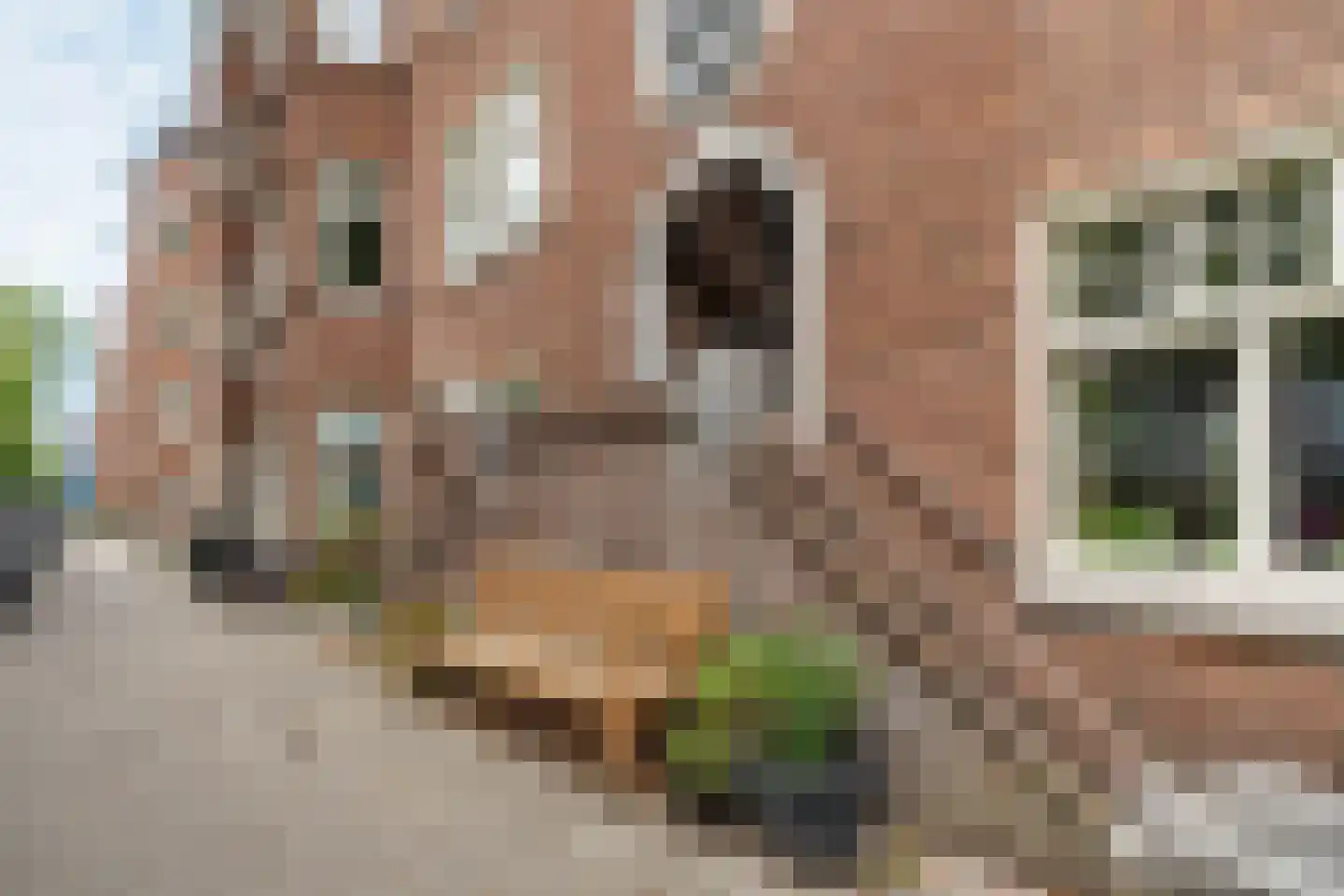 Churchill-laan 168 2 Amsterdam thumbnail 29