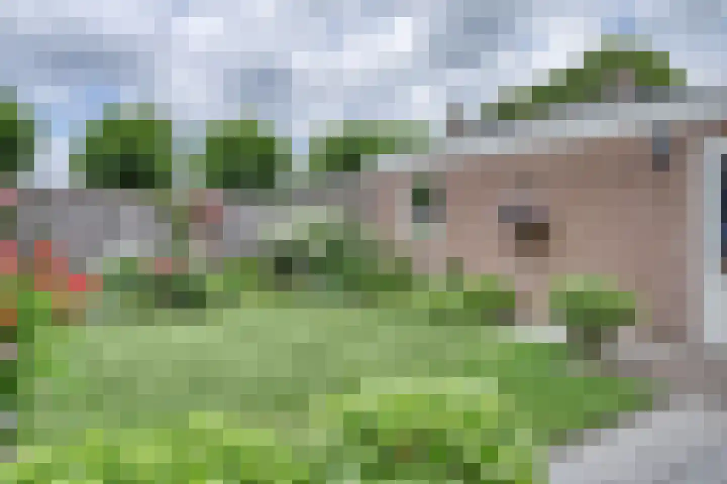 Churchill-laan 2 Bergeijk thumbnail 50
