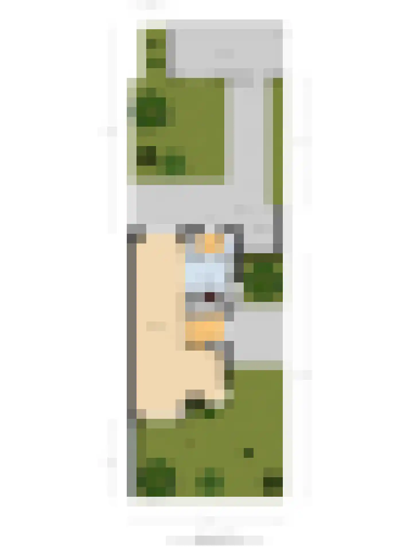 Churchill-laan 2 Bergeijk thumbnail 69