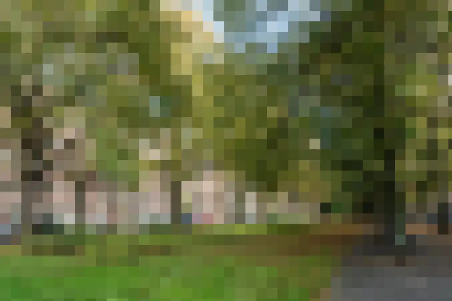 Churchill-laan 209 3 Amsterdam thumbnail 30