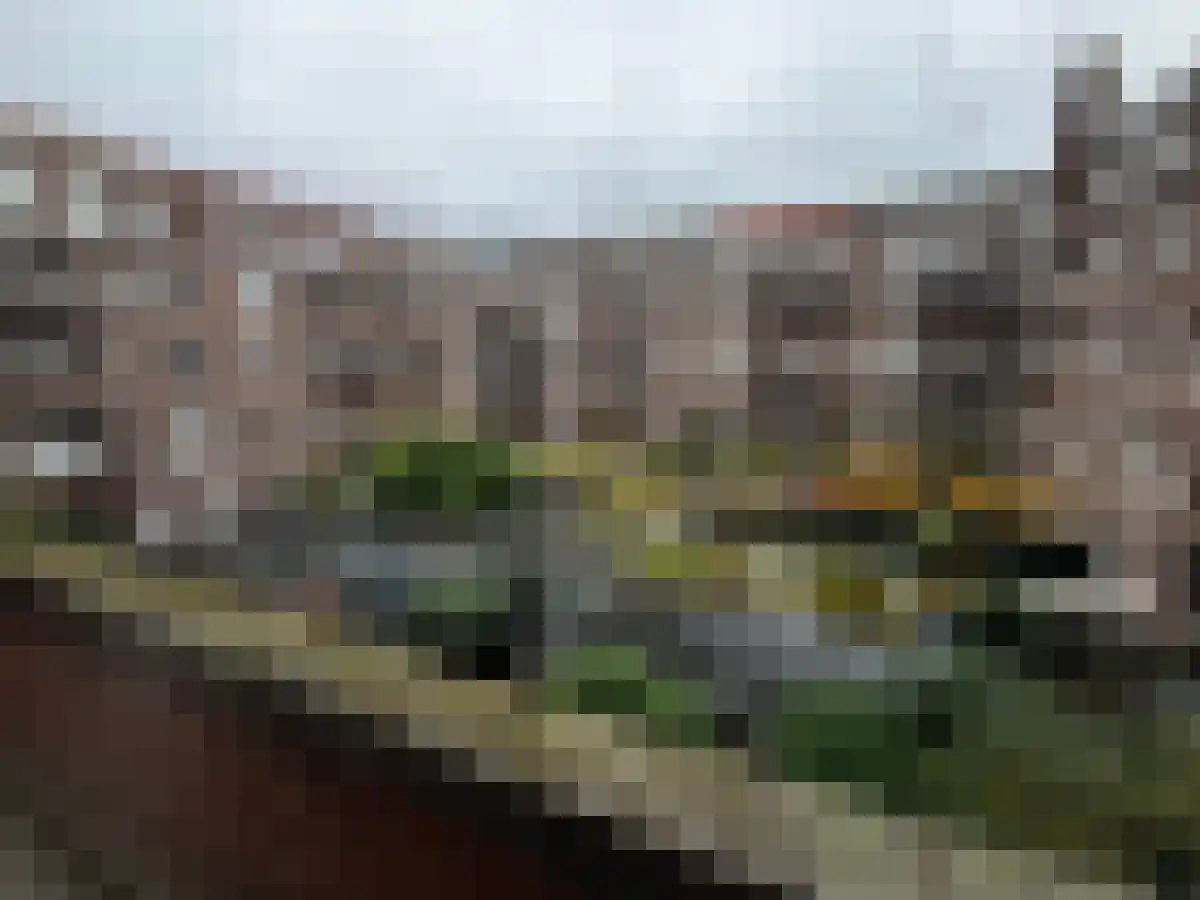 Churchill-laan 266 Amsterdam thumbnail 5