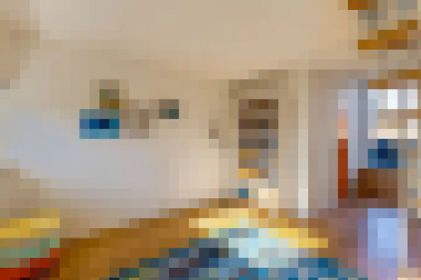 Churchill-laan 292 2 Amsterdam thumbnail 36