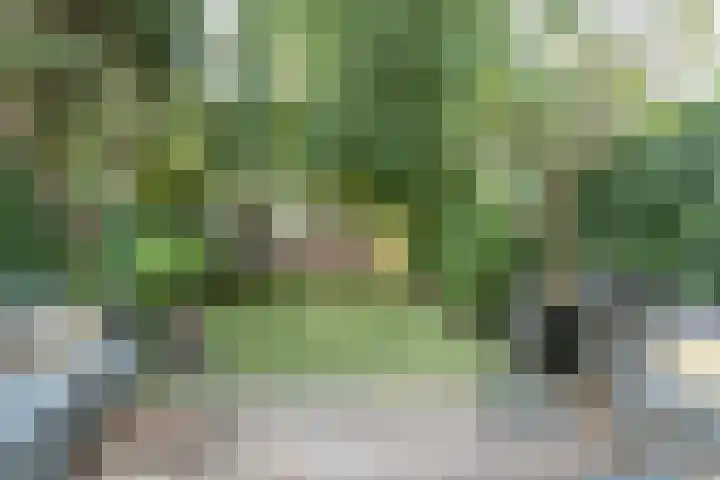 Churchill-laan 294 Amsterdam thumbnail 20