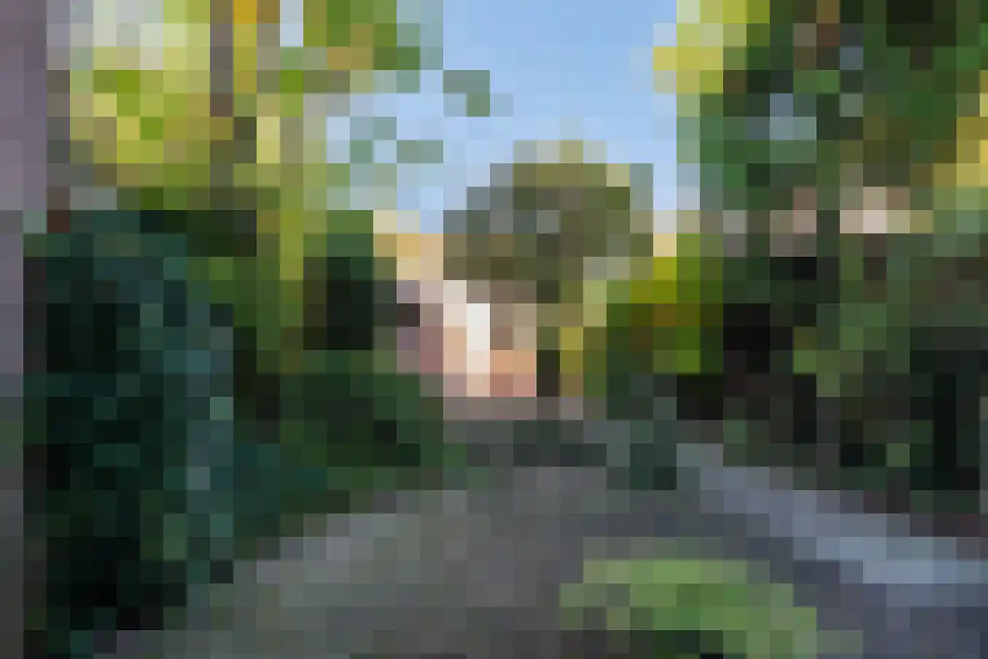Churchill-laan 31 Zeist thumbnail 37
