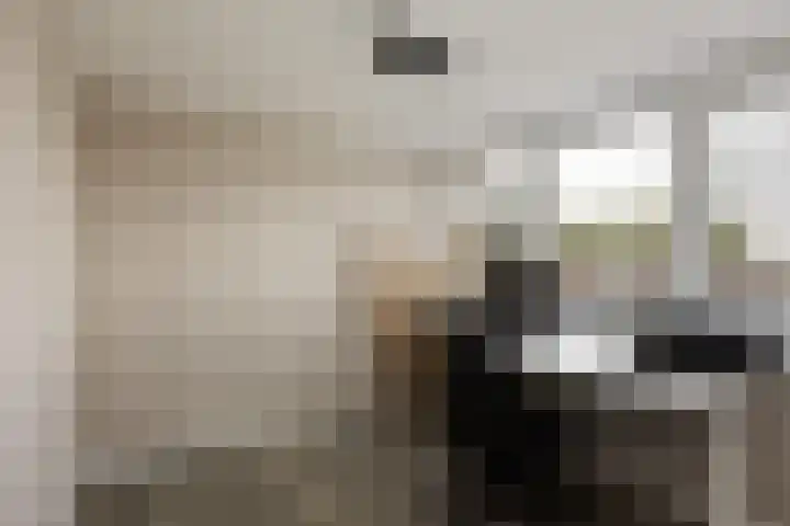 Churchill-laan 5 Lopik thumbnail 50