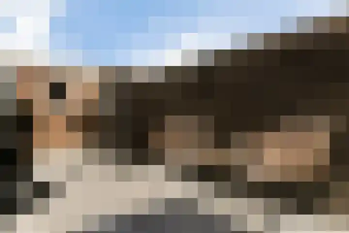Churchill-laan 5 Lopik thumbnail 62