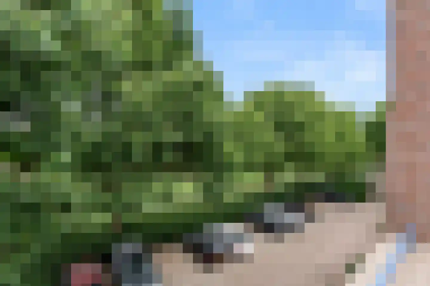 Churchilldreef 113 Ede thumbnail 10