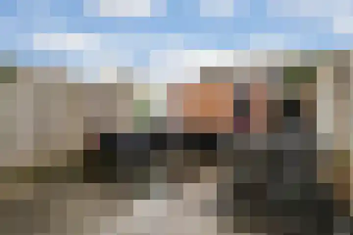 Churchilldreef 39 Ede thumbnail 31