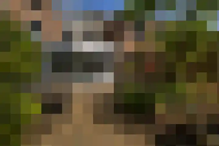 Churchilldreef 53 Ede thumbnail 31