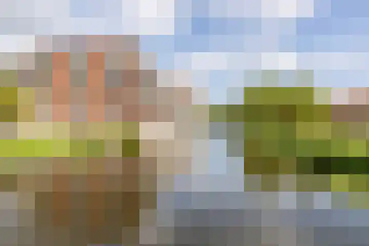 Churchillhof 18 Purmerend thumbnail 39
