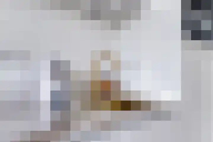 Churchillhof 20 Purmerend thumbnail 13