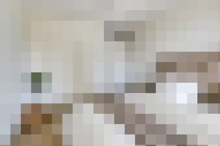 Churchillhof 20 Purmerend thumbnail 17