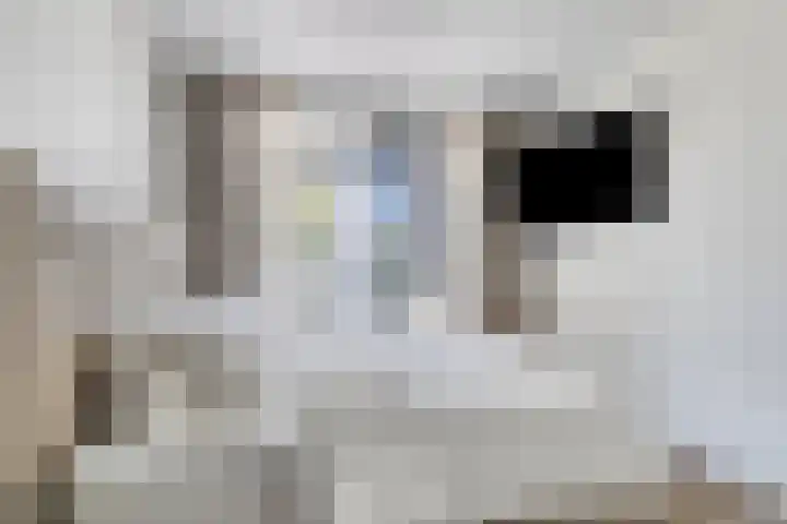 Churchillhof 20 Purmerend thumbnail 18