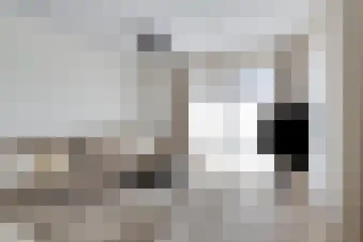 Churchillhof 20 Purmerend thumbnail 4