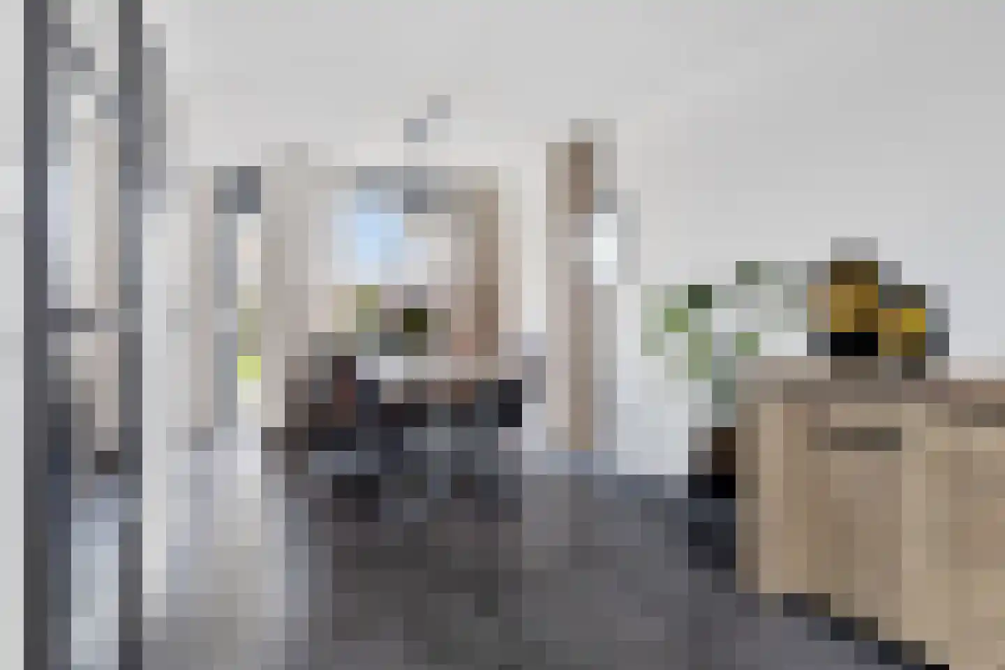 Churchillhof 41 Kloosterzande thumbnail 11