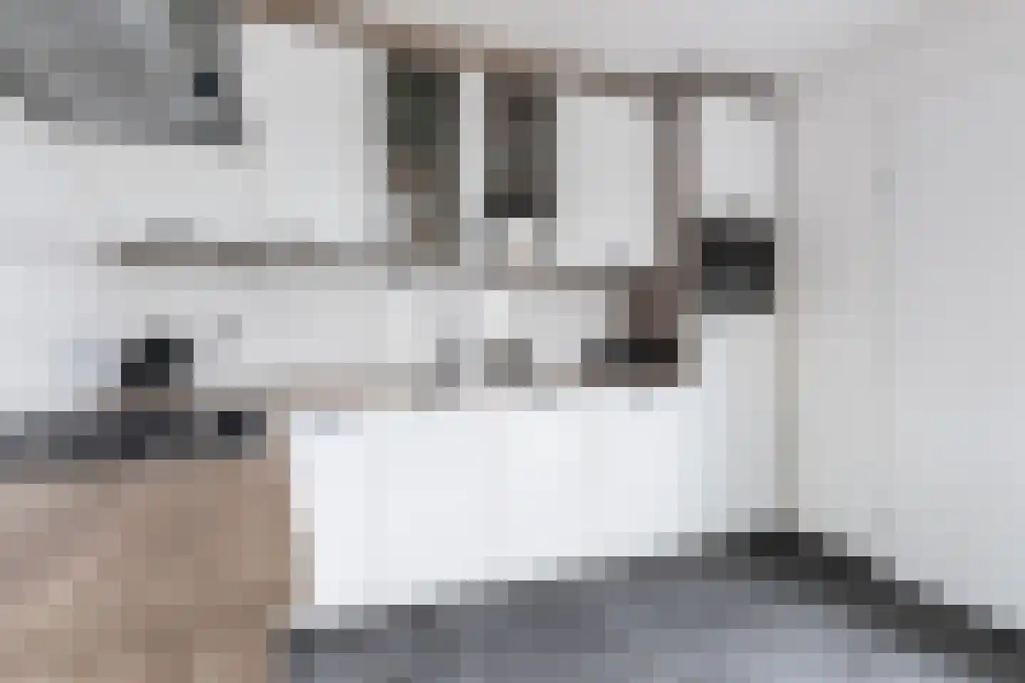 Churchillhof 41 Kloosterzande thumbnail 13