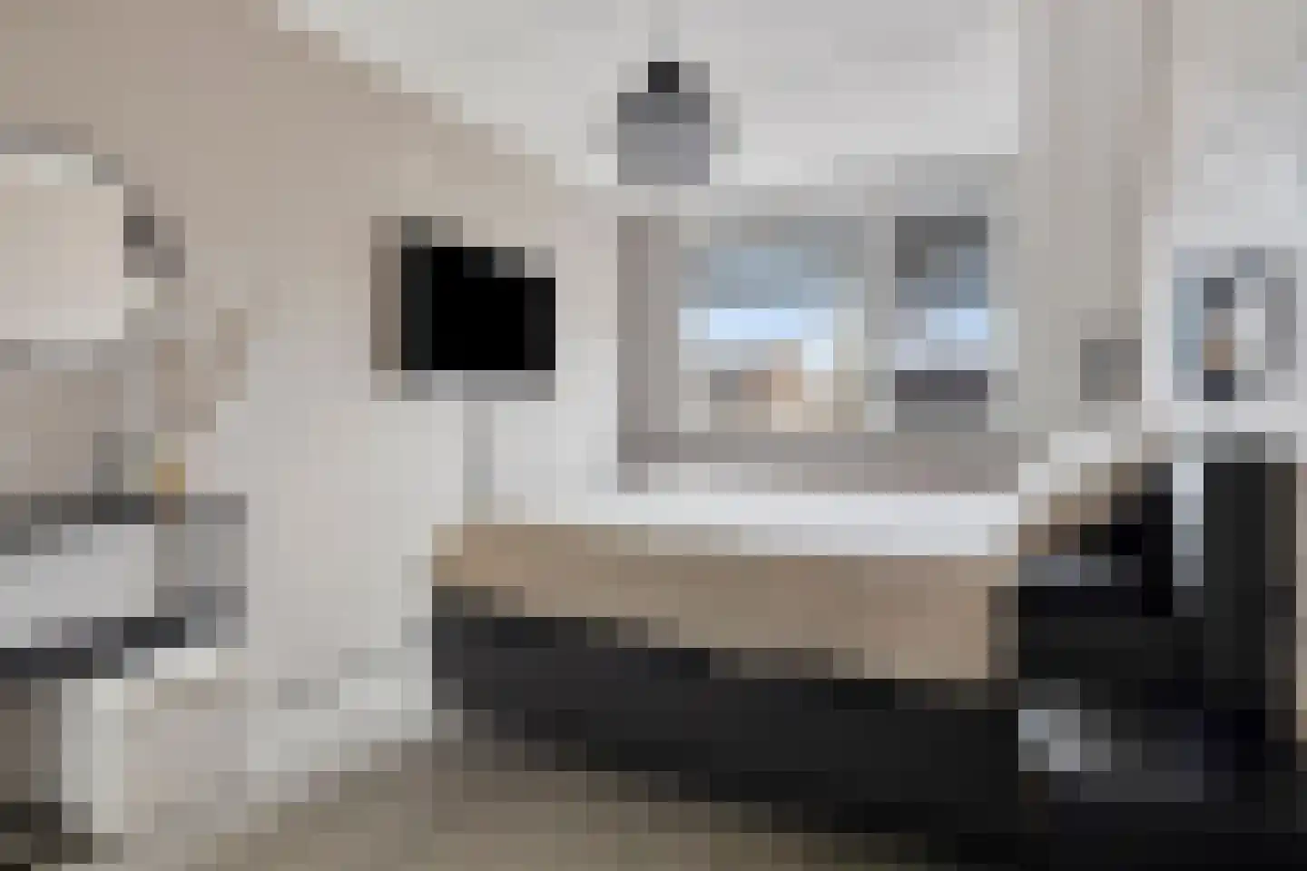 Churchillhof 41 Kloosterzande thumbnail 19