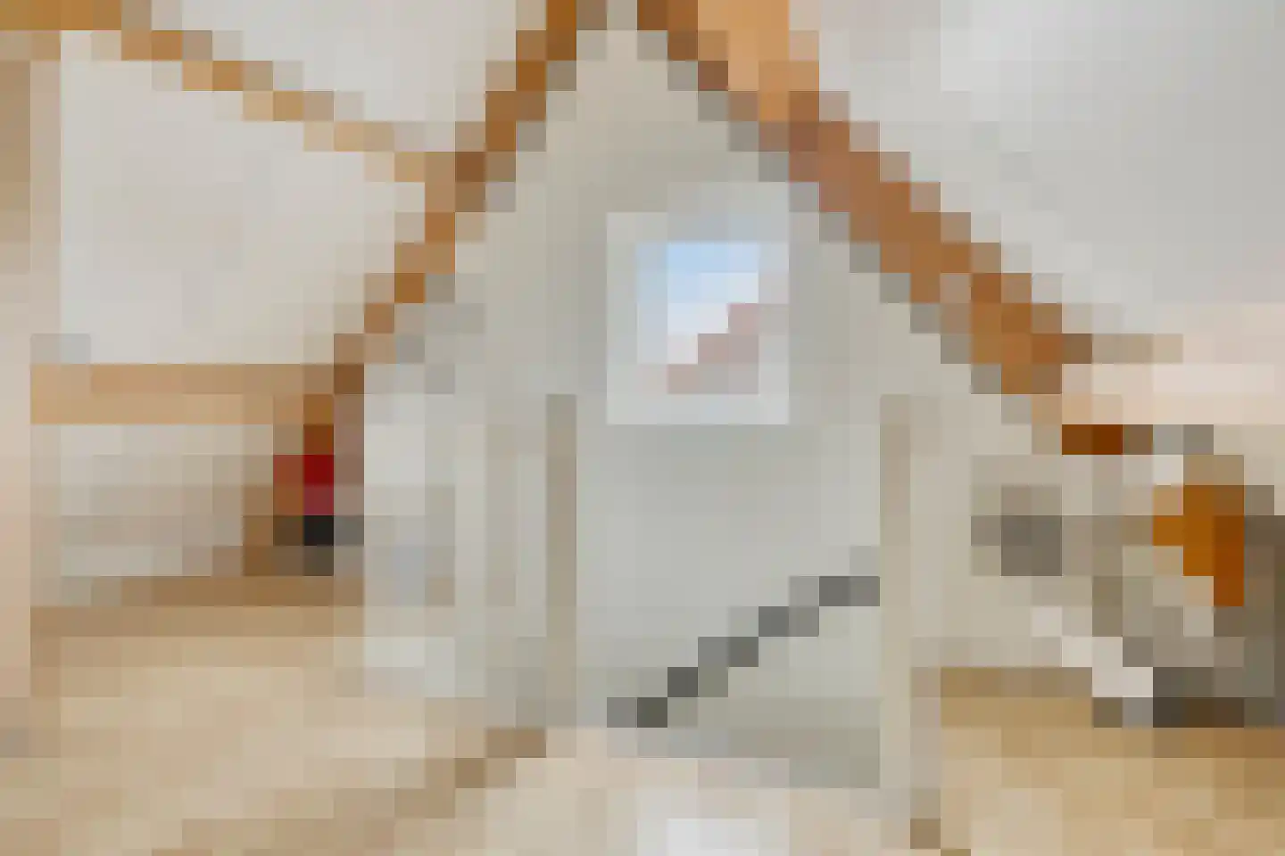 Churchillhof 41 Kloosterzande thumbnail 25
