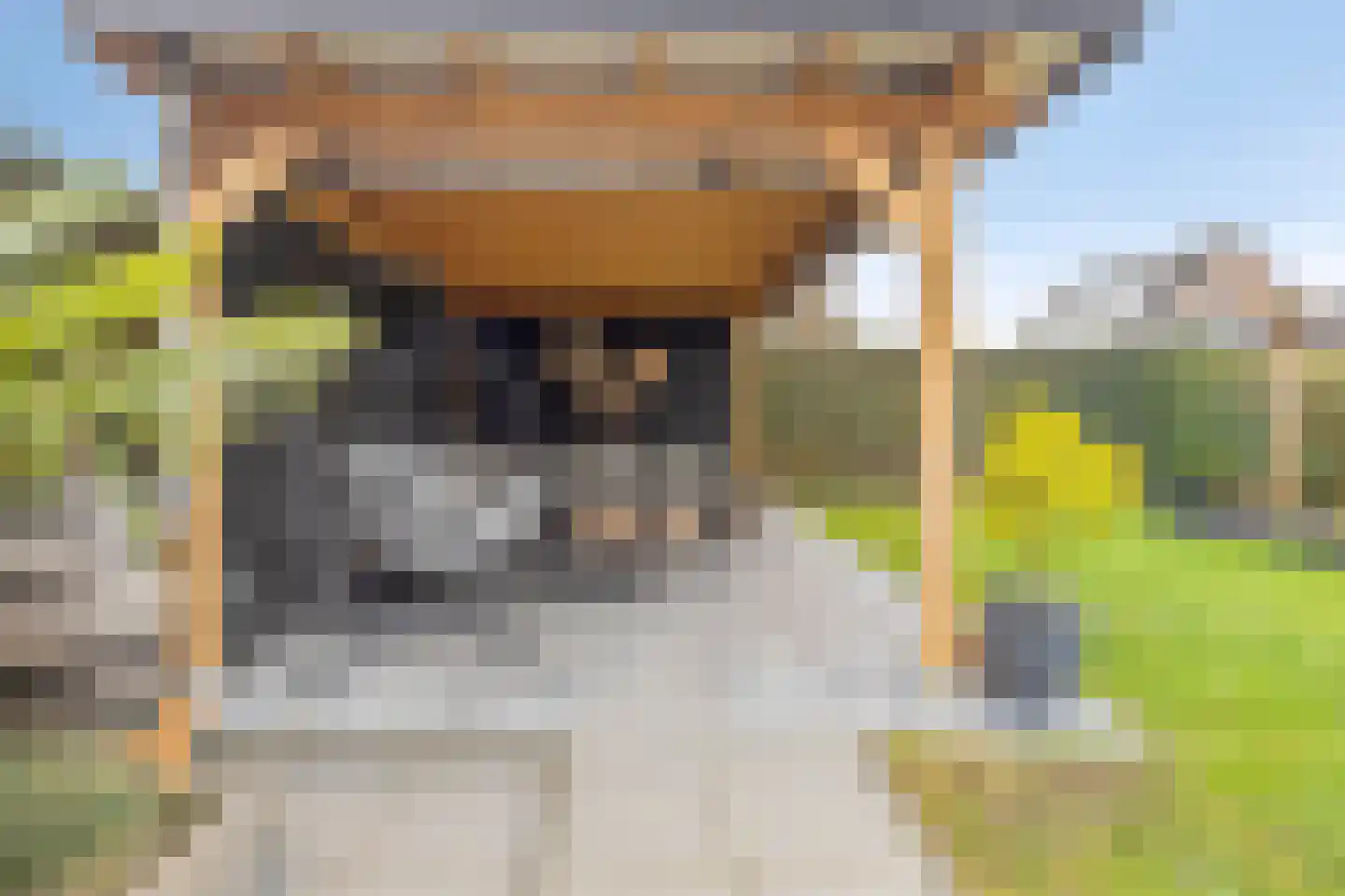 Churchillhof 41 Kloosterzande thumbnail 30