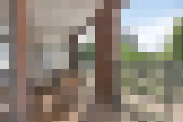 Churchillhof 8 Purmerend thumbnail 5